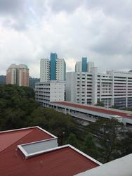 Blk 143 Petir Road (Bukit Panjang), HDB 3 Rooms #70912991